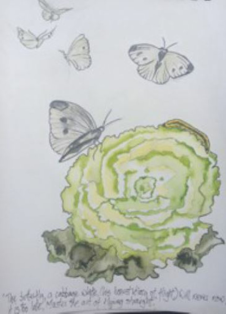 Cabbage White Butterfly painting